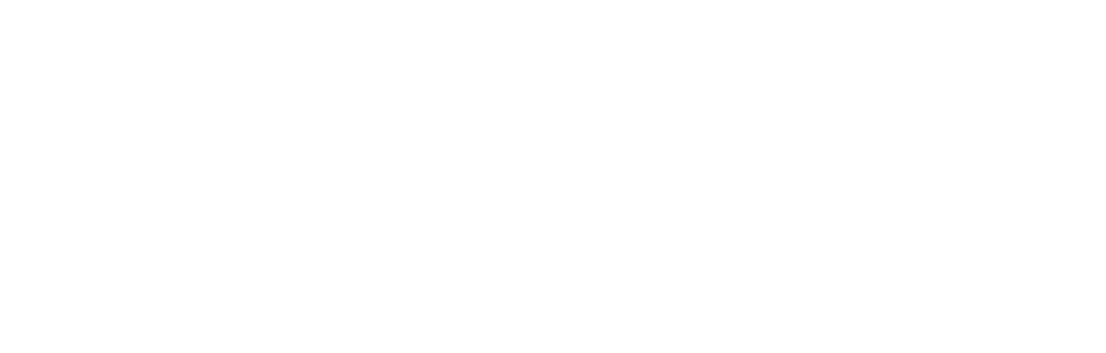 Visa logo