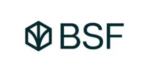 BSF GROUP
