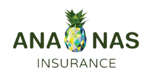 Ananas Insurance