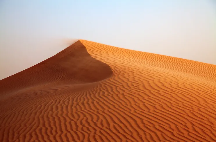 Red Sand Dunes